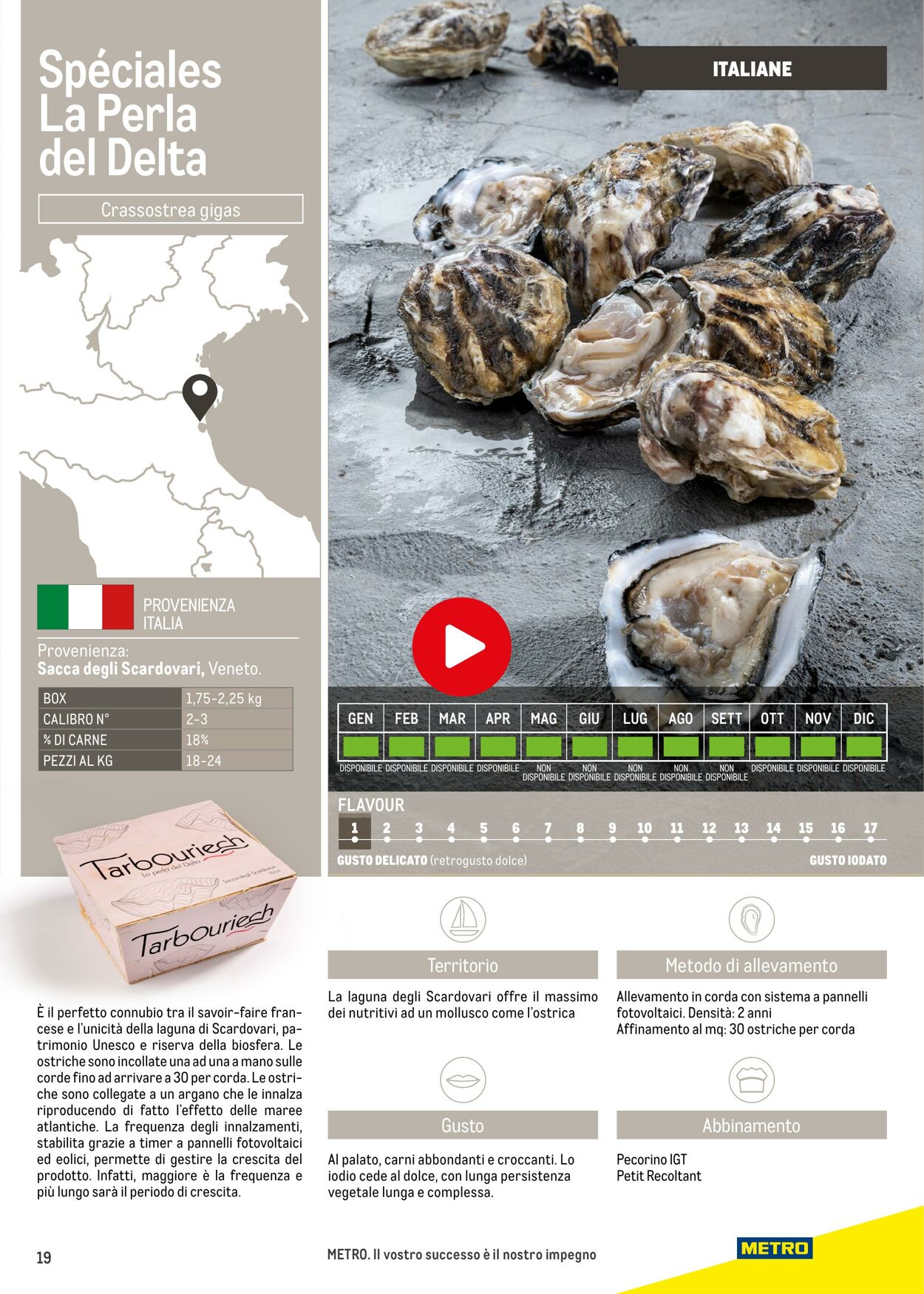 Volantino Metro 17.06.2025 - 17.06.2026