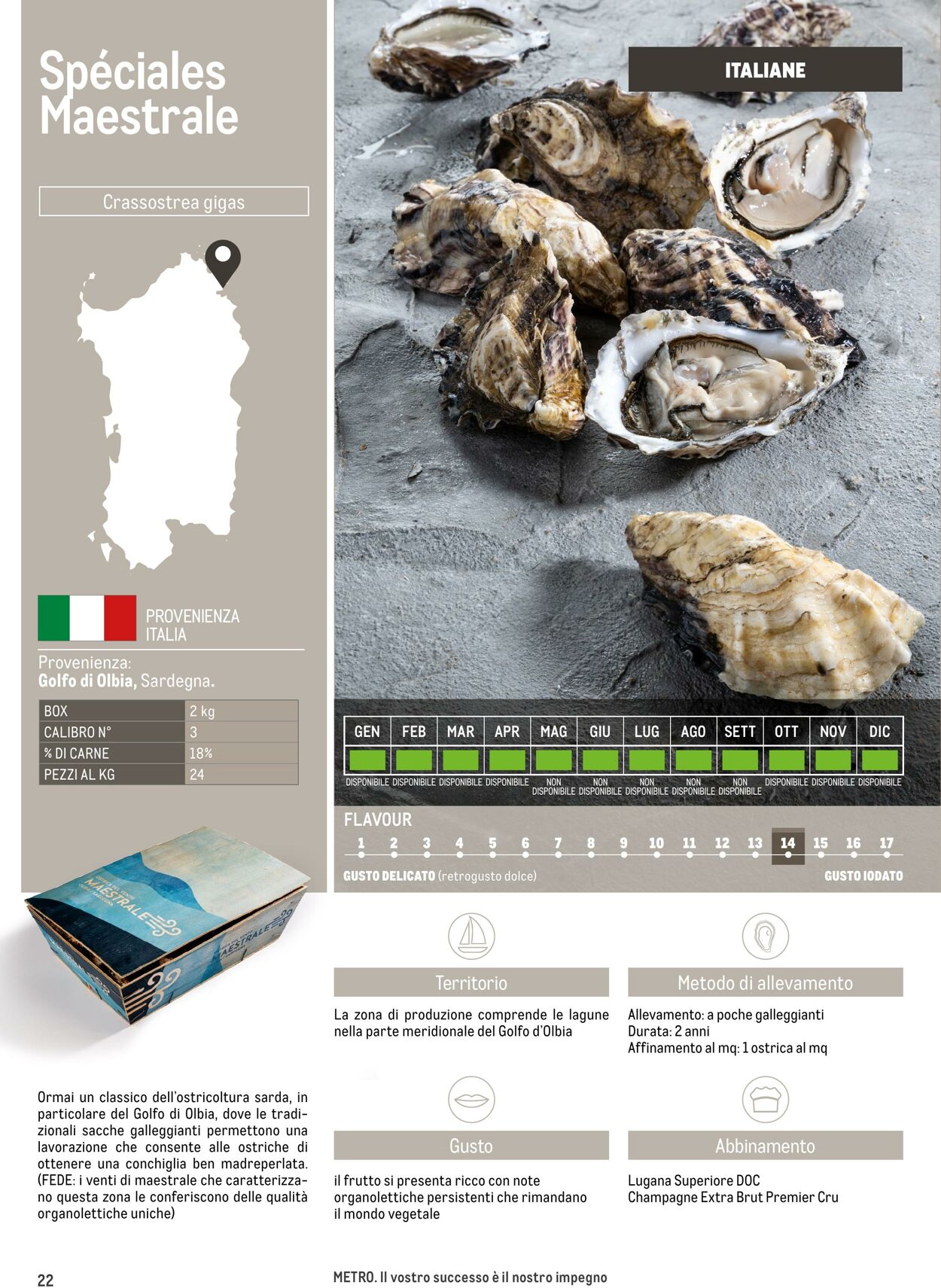 Volantino Metro 17.06.2025 - 17.06.2026
