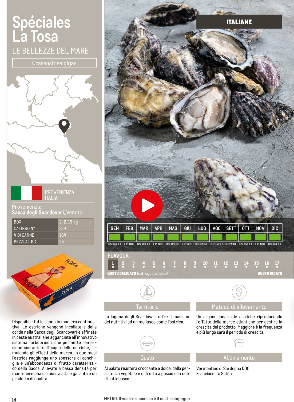 Volantino Metro 17.06.2025 - 17.06.2026
