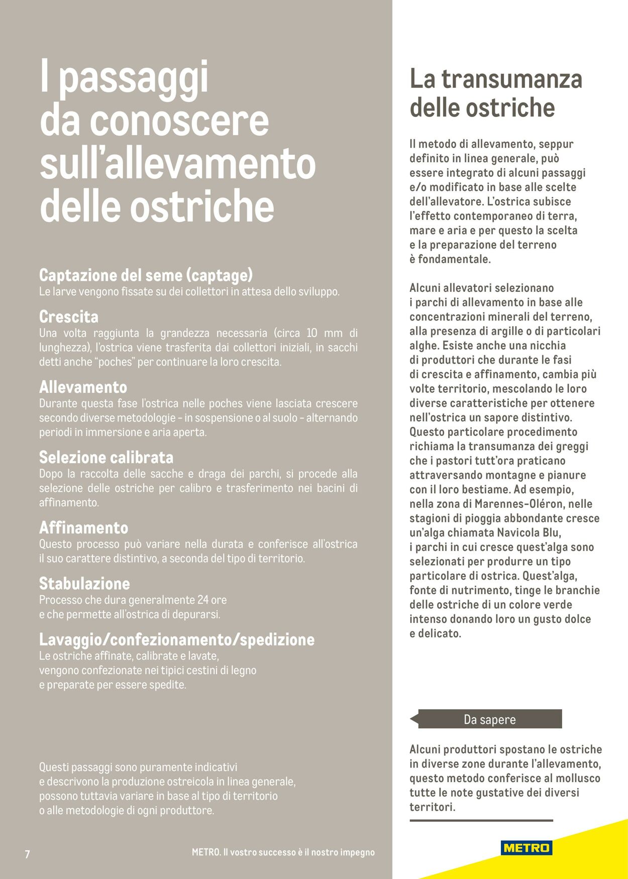Volantino Metro 17.06.2025 - 17.06.2026