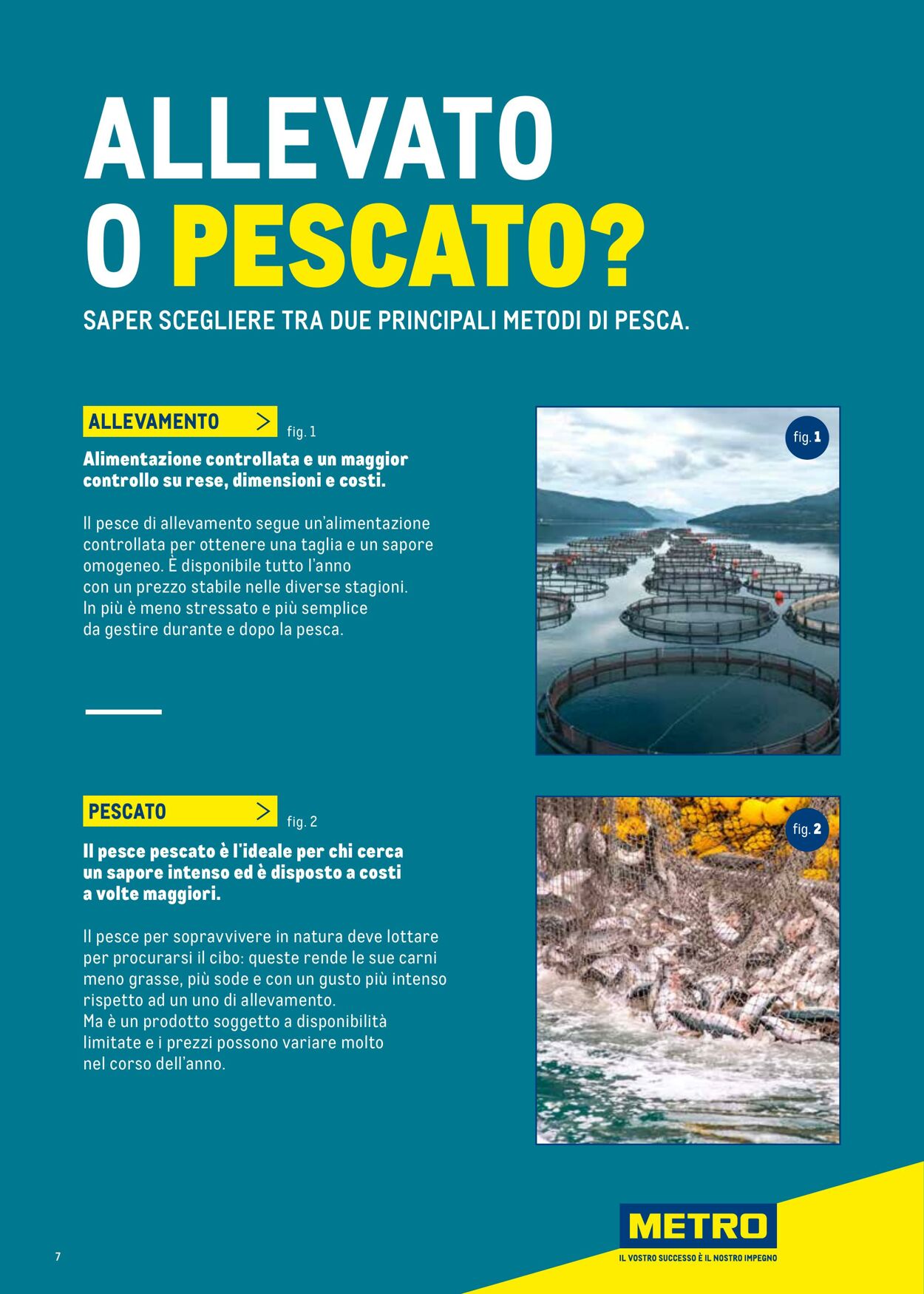 Volantino Metro 01.07.2025 - 31.12.2025