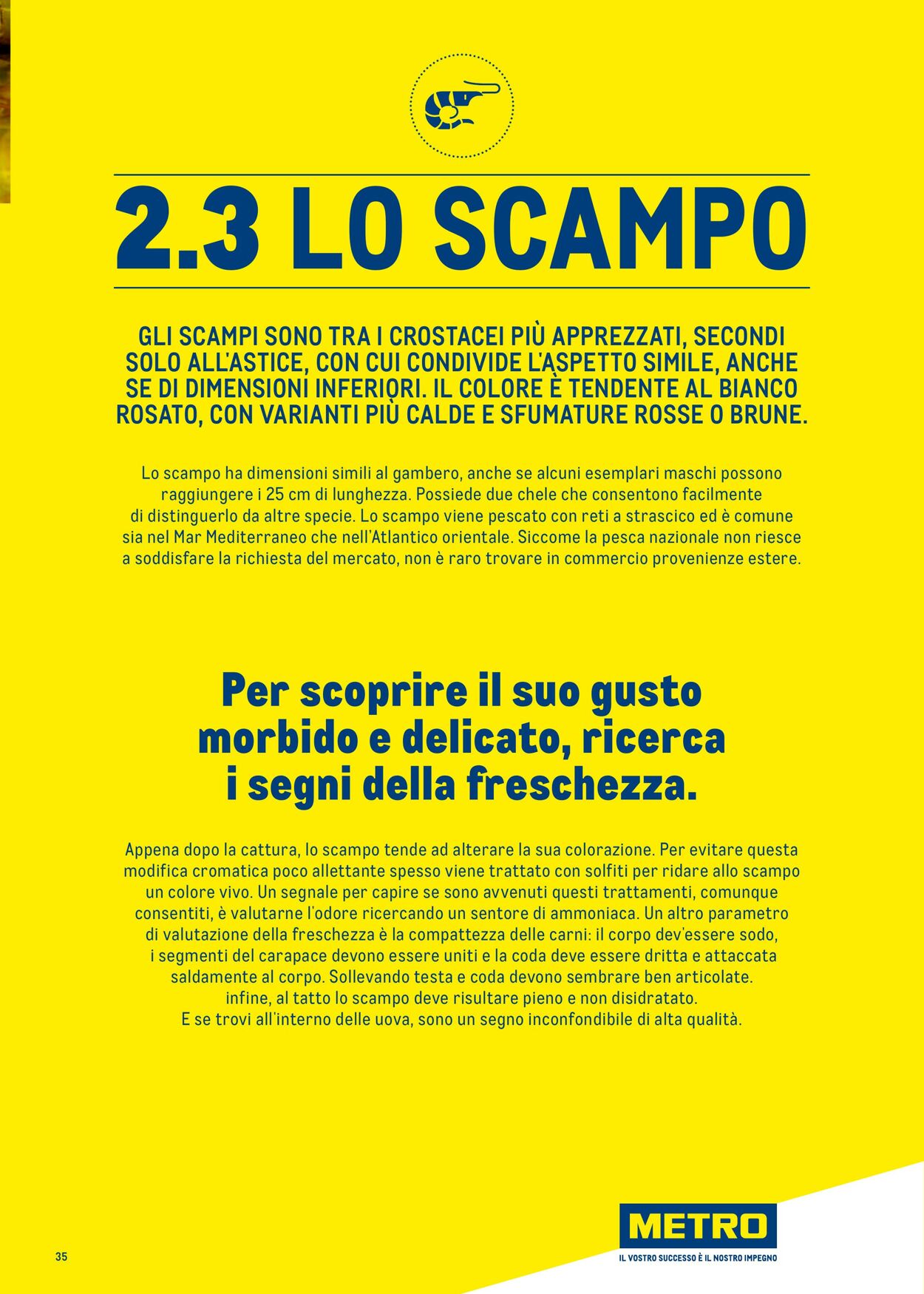 Volantino Metro 01.07.2025 - 31.12.2025