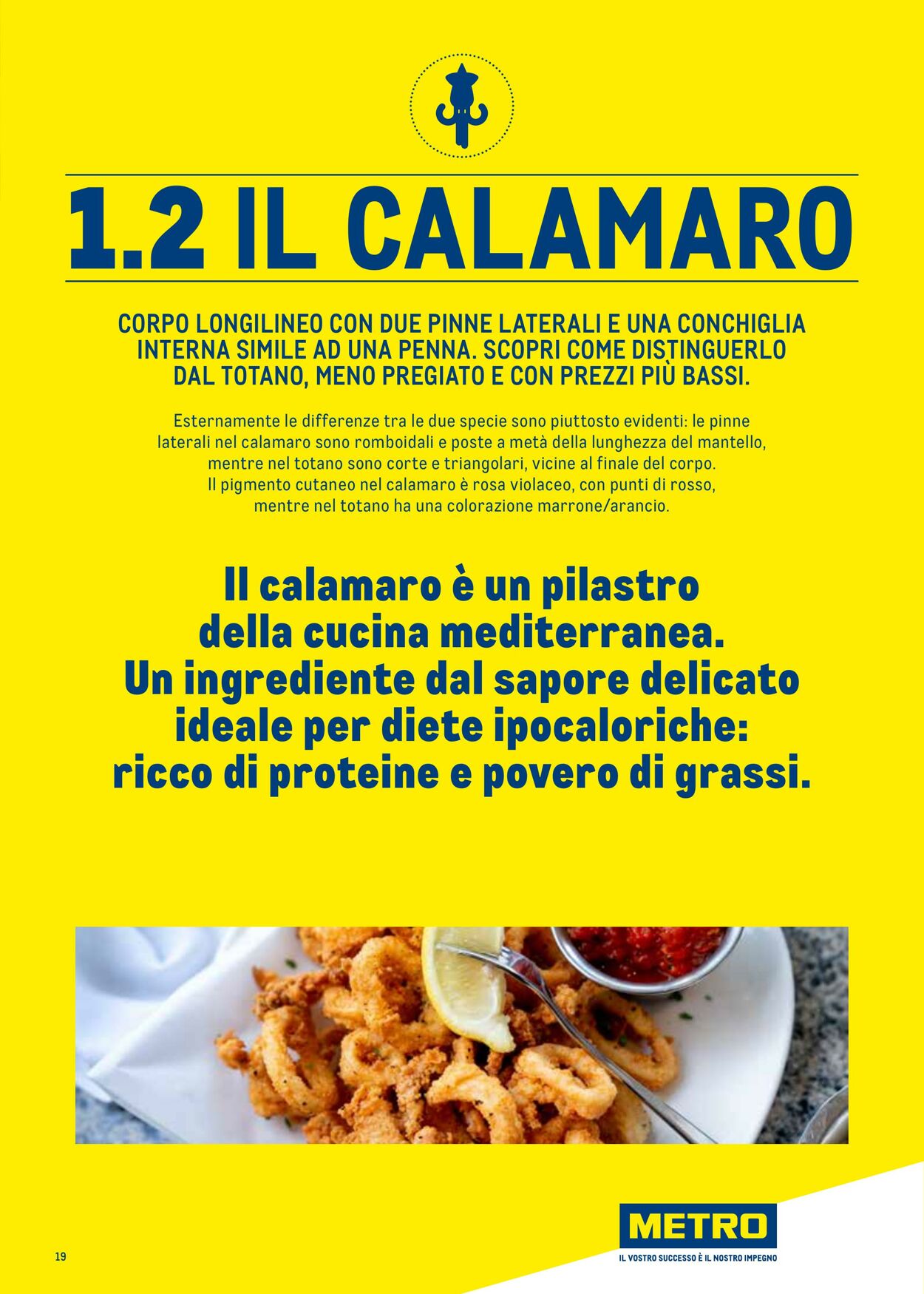 Volantino Metro 01.07.2025 - 31.12.2025