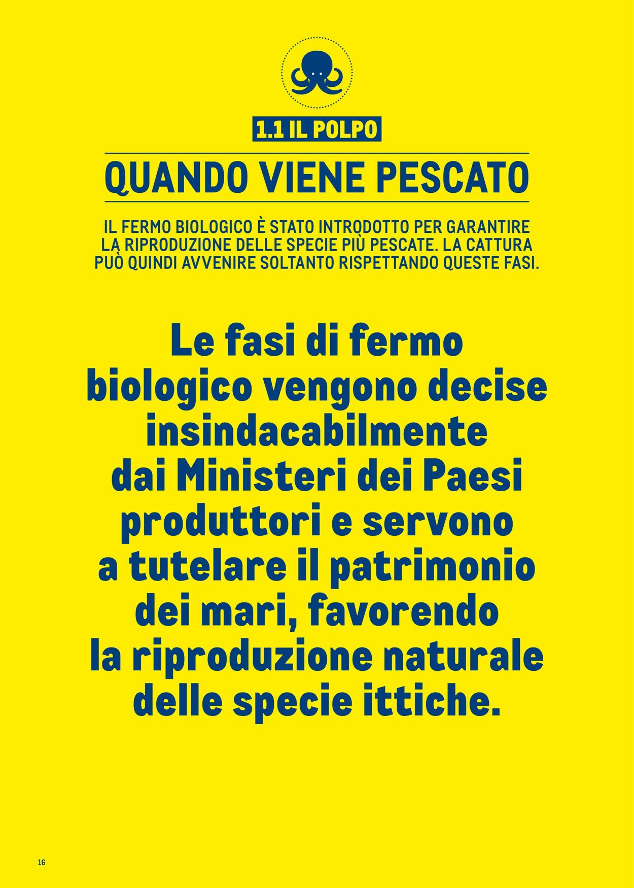 Volantino Metro 01.07.2025 - 31.12.2025