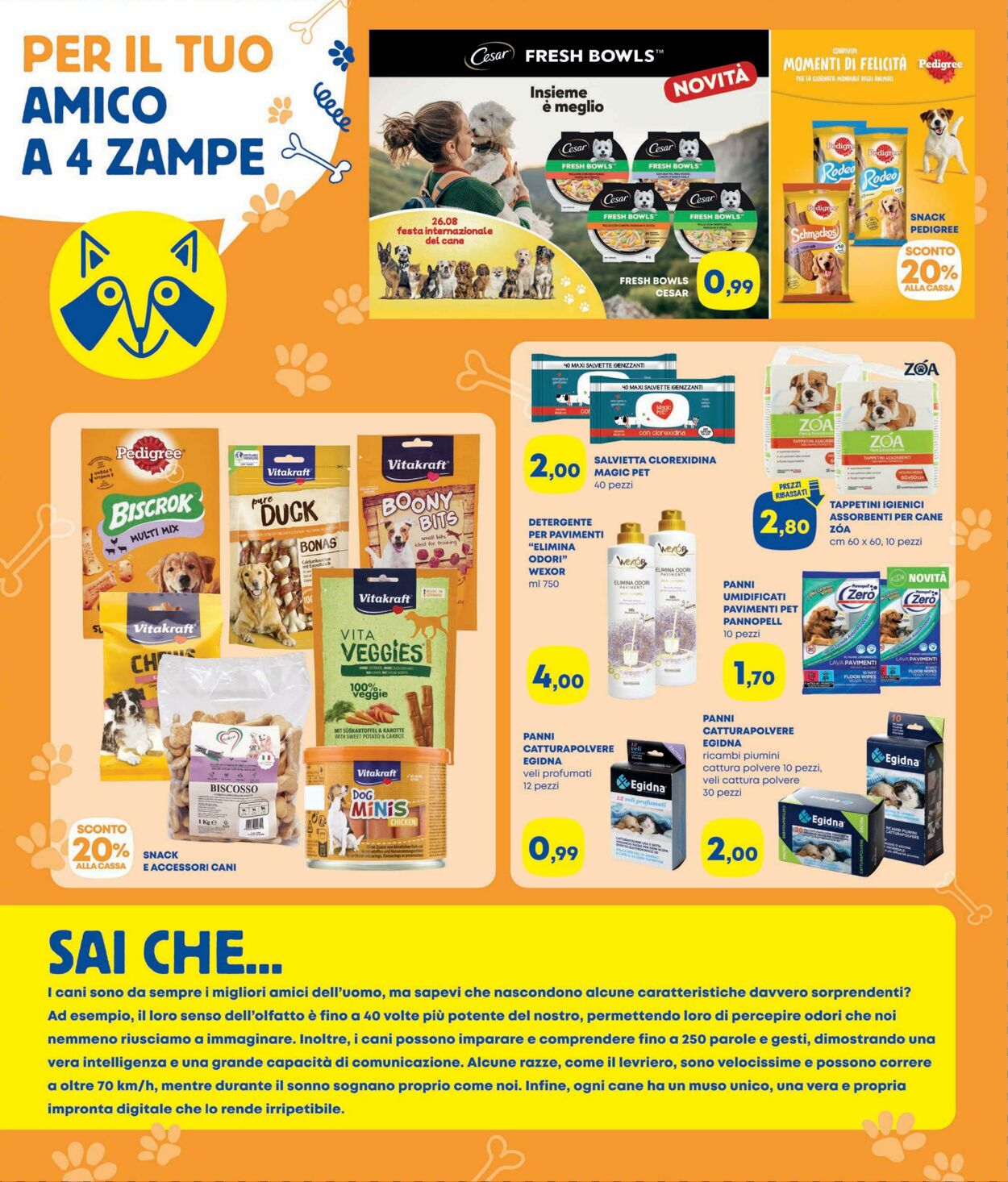 Volantino Pam Panorama 07.08.2025 - 10.09.2025