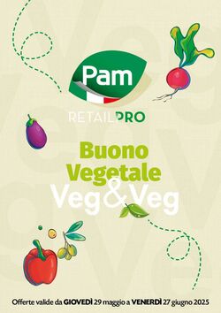 Volantino Pam Panorama 29.05.2025 - 27.06.2025