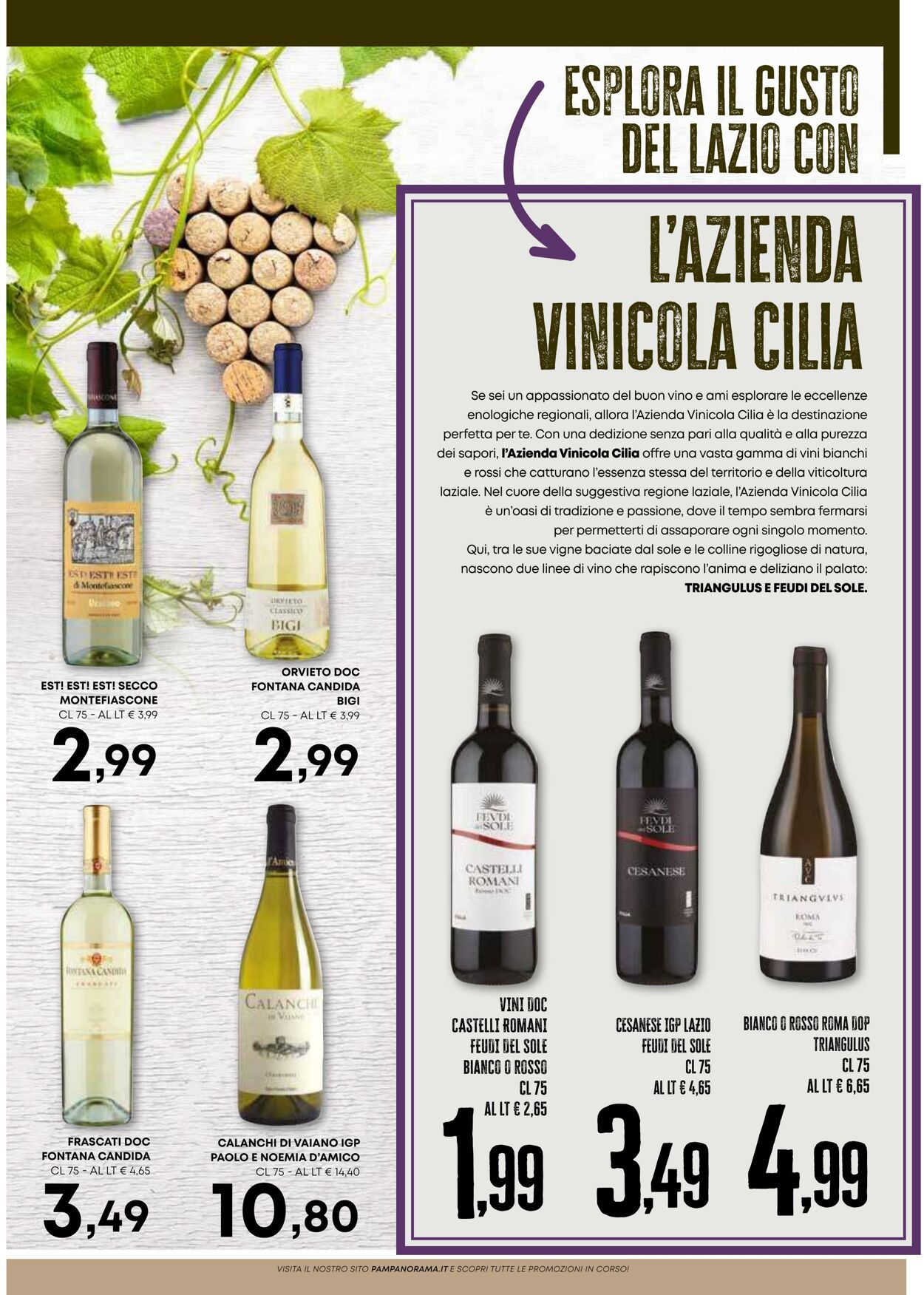 Volantino Panorama 29.05.2025 - 11.06.2025