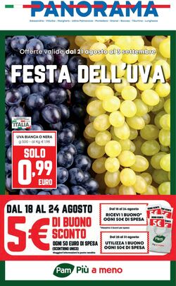 Volantino Panorama 21.08.2025 - 03.09.2025