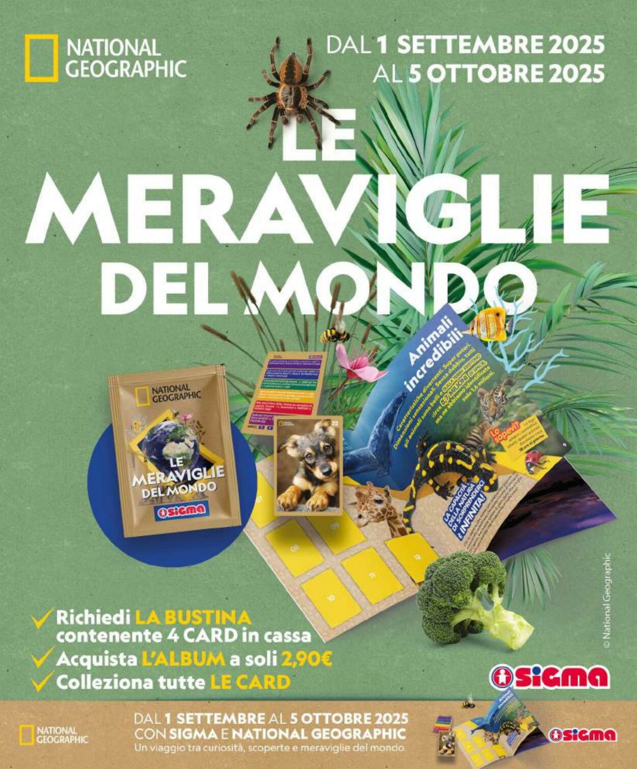 Volantino Sigma 27.08.2025 - 10.09.2025