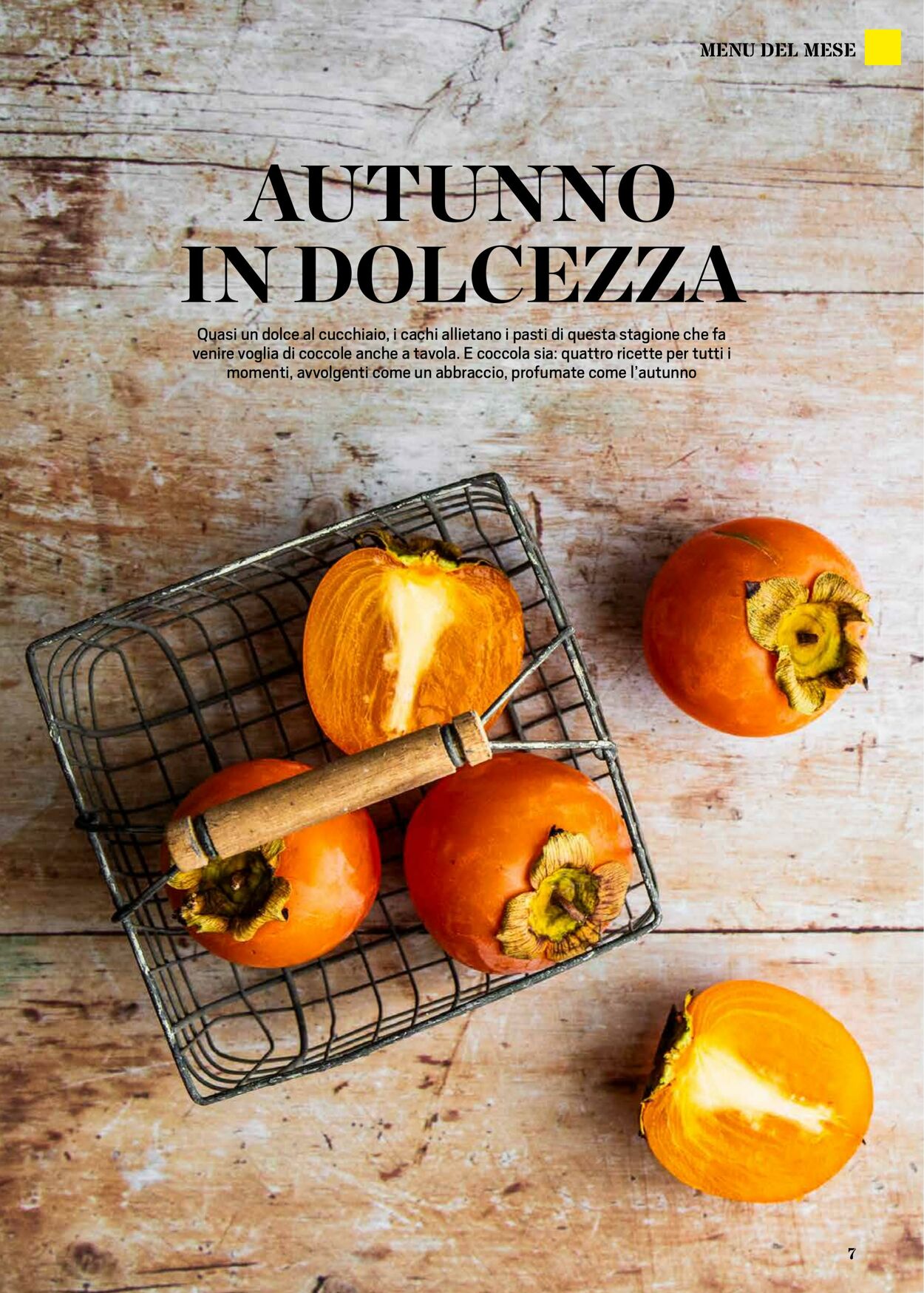Volantino Sigma 01.11.2025 - 01.12.2025