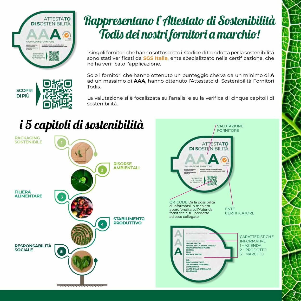 Volantino Todis 09.01.2025 - 19.01.2025