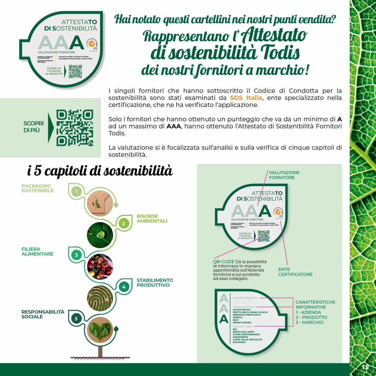 Volantino Todis 23.01.2025 - 02.02.2025