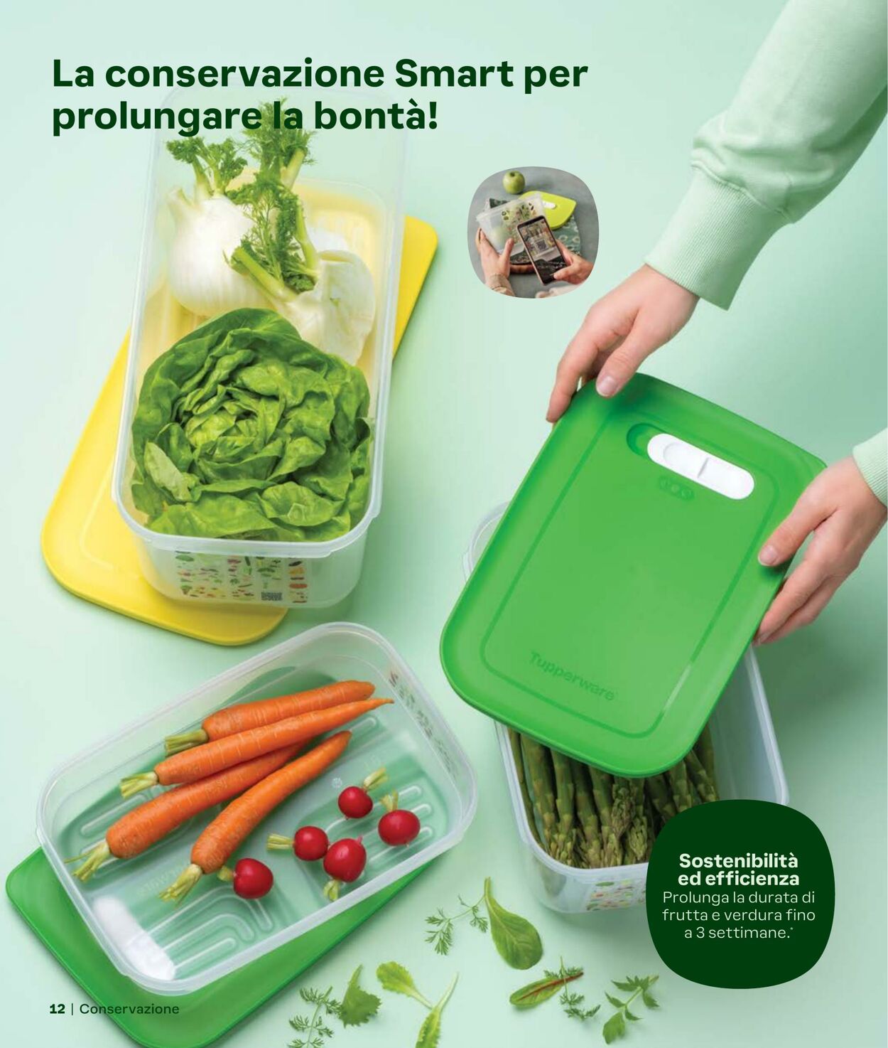 Volantino Tupperware 01.10.2024 - 31.01.2025